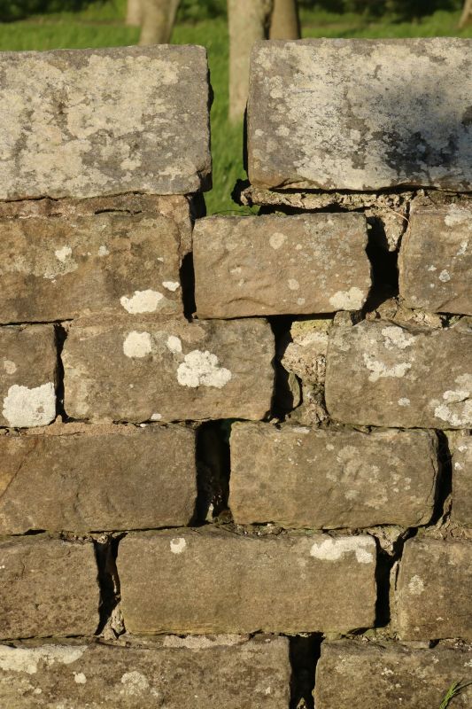 Stone Wall Repair in Travelers Rest, SC